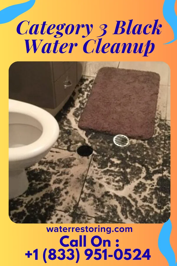 Category 3 Black Water Cleanup in Shorewood-Tower Hills-Harbert, MI