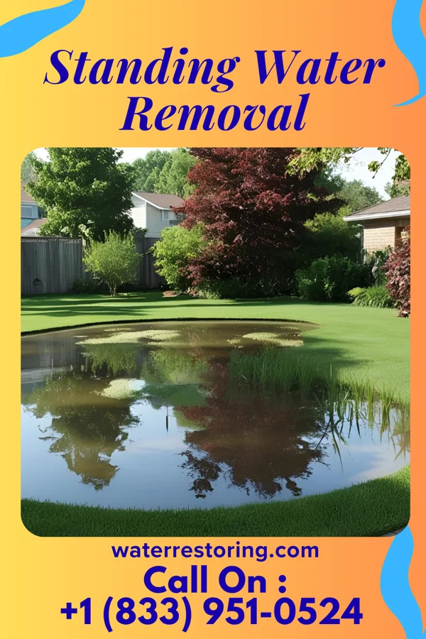 Standing Water Removal in Shorewood-Tower Hills-Harbert, MI